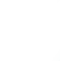 Trinity Logo White (small)