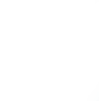 Trinity Logo White (small)
